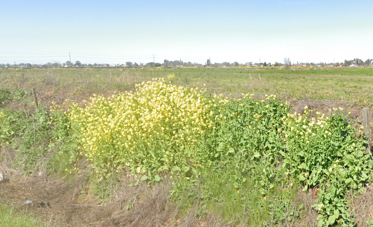 Boessow Rd - Galt Commercial / Industrial Land — photo 3