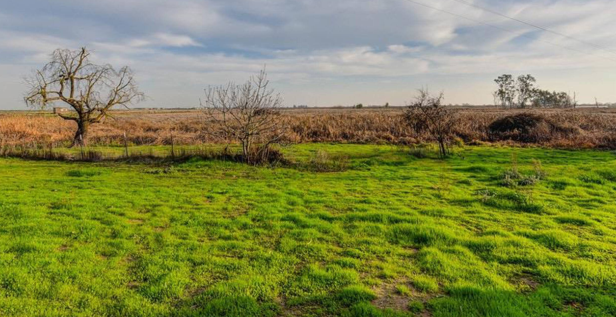 Galt Ag Land — photo 3