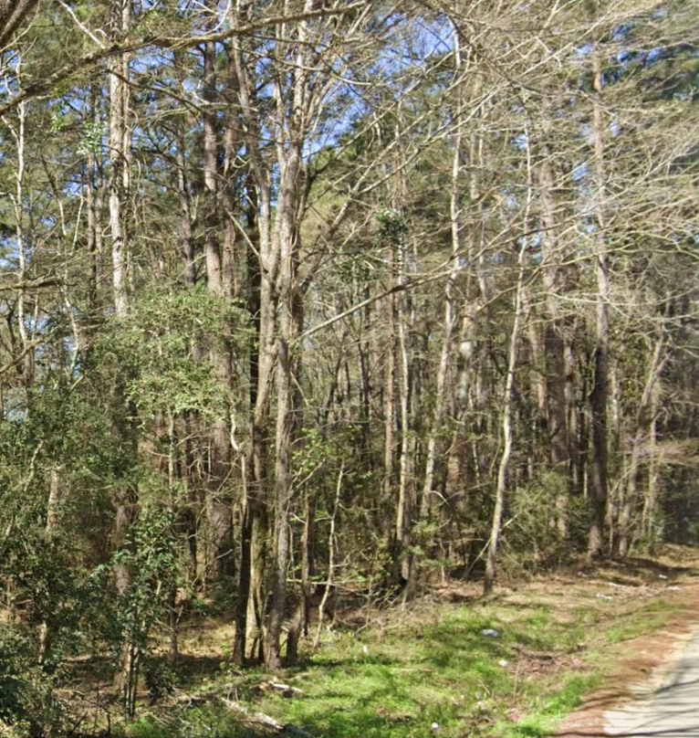 0 Hwy 190, Oakhurst, TX — photo 3