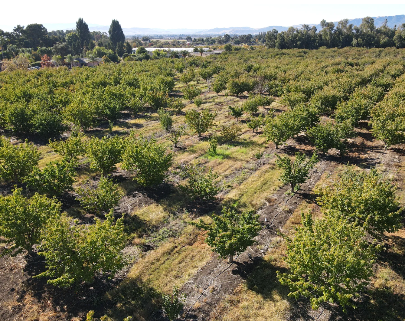 Crews Rd | ±6.58 Acres of Agricultural land — photo 2