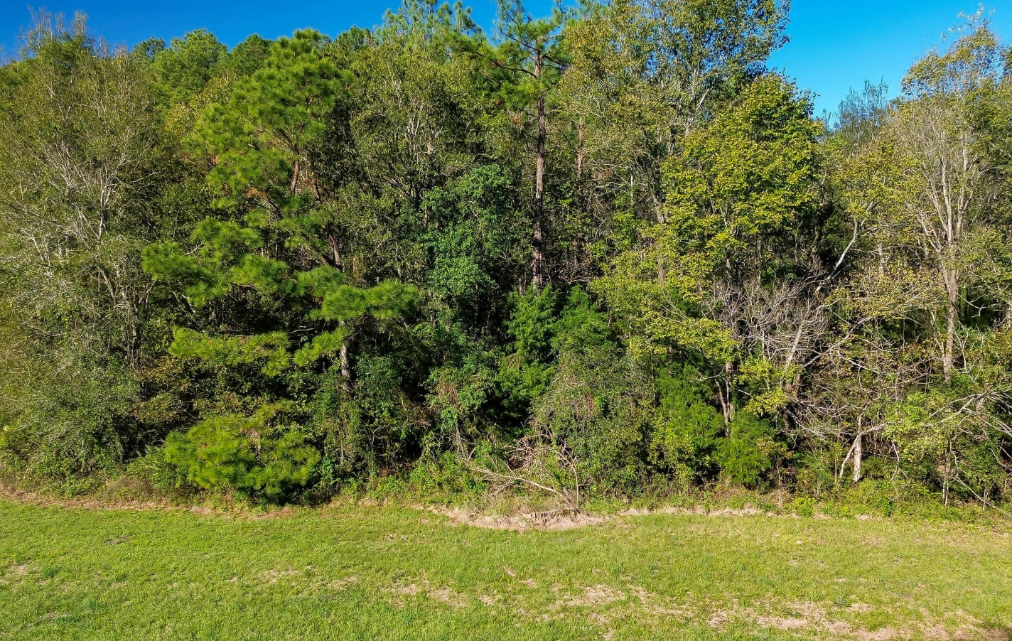 Garner Rd — photo 2