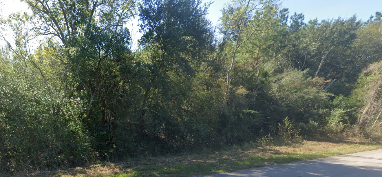 Walden Rd — photo 2
