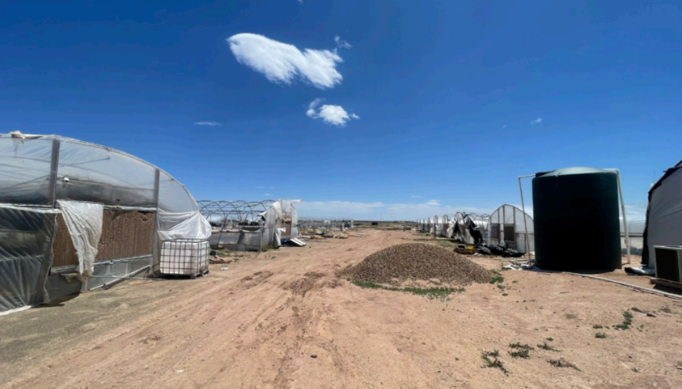 160 Acre Cultivation Farm With Turnkey Infrastructure — photo 2