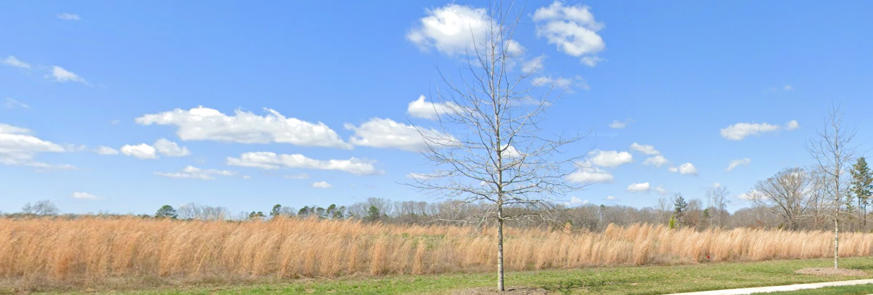 00 Apple Creek Pkwy — photo 2