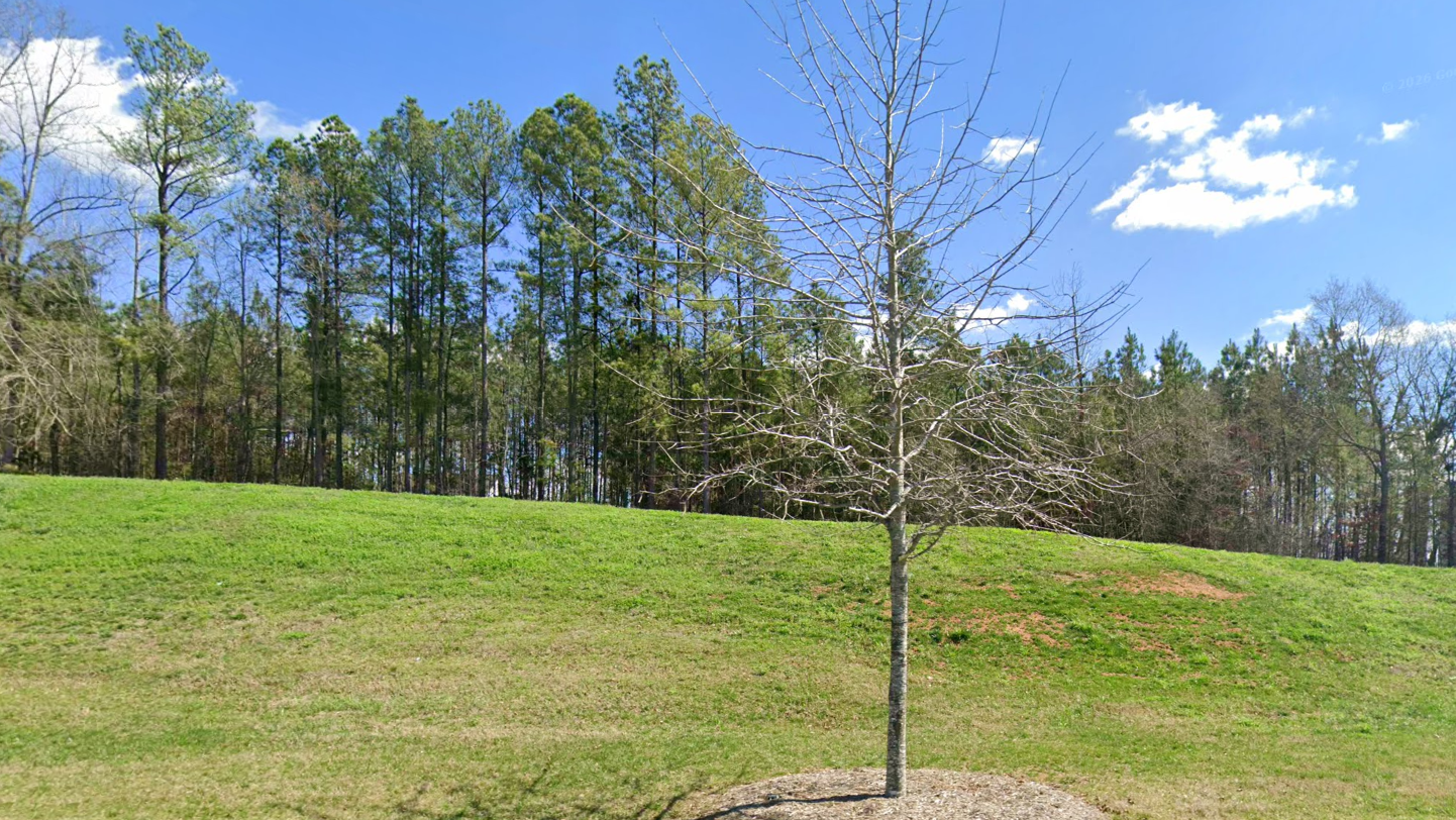 Featured property
