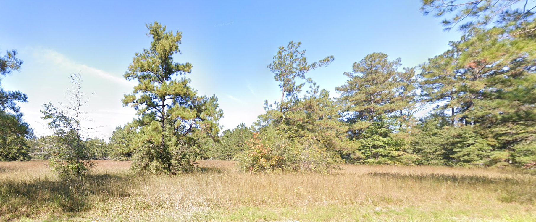 Branch Crossing Drive — photo 2
