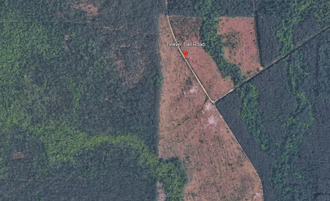 160 Acres For Sale — photo 2