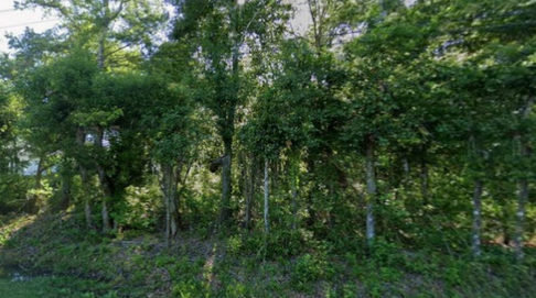 Featured property